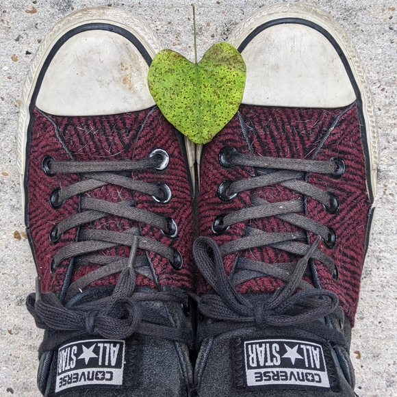 Hello out there!! - Picture 3 of 6